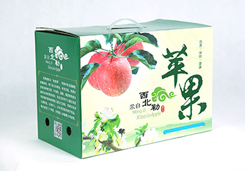 速邇紙制品包裝的種類和設(shè)計特點有哪些？